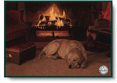 John Weiss art print: Our Favorite Place