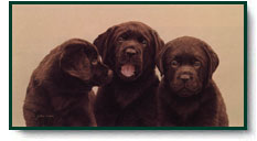 John Weiss art print: Three's Company