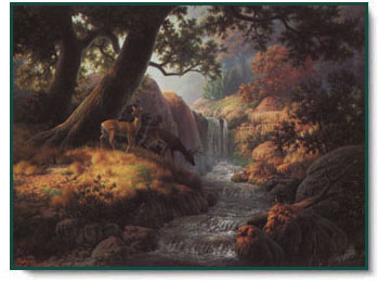 Dahlhart Windberg - Woodland Reflections