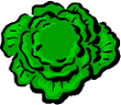 green leafy vegetable